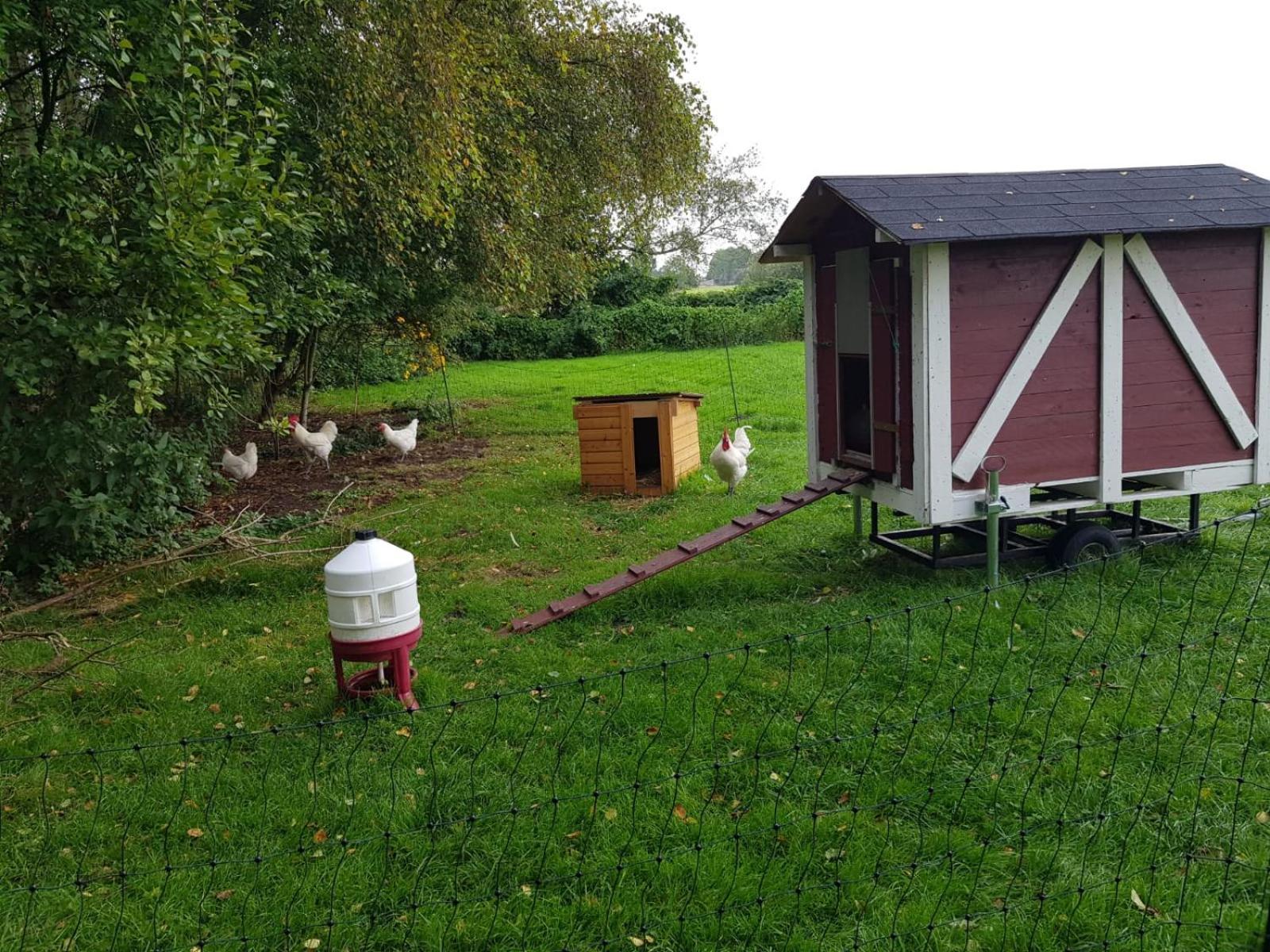 Neu! Landhaus Ostfriesenruhe Berumbur Экстерьер фото